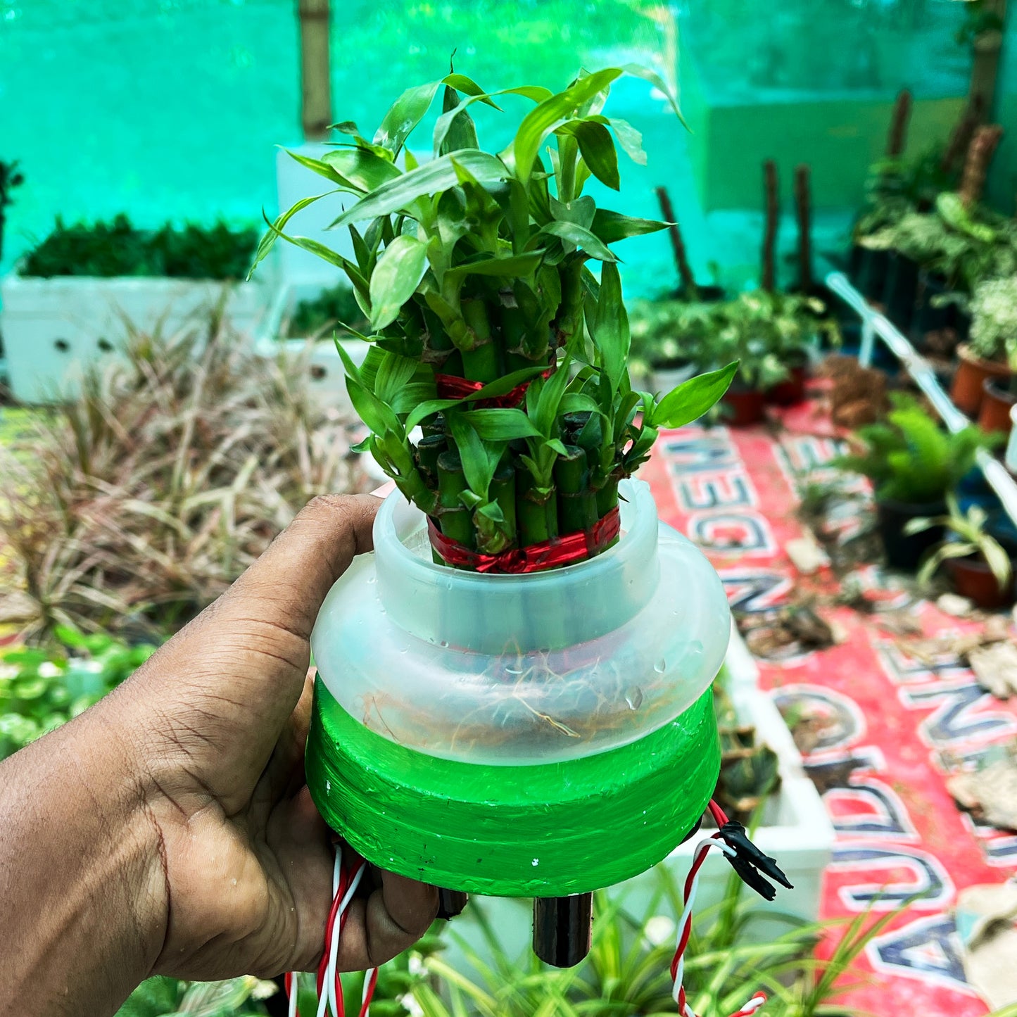 Plastic Pot for 2-Layer Bamboo – Compact & Durable Indoor Planter