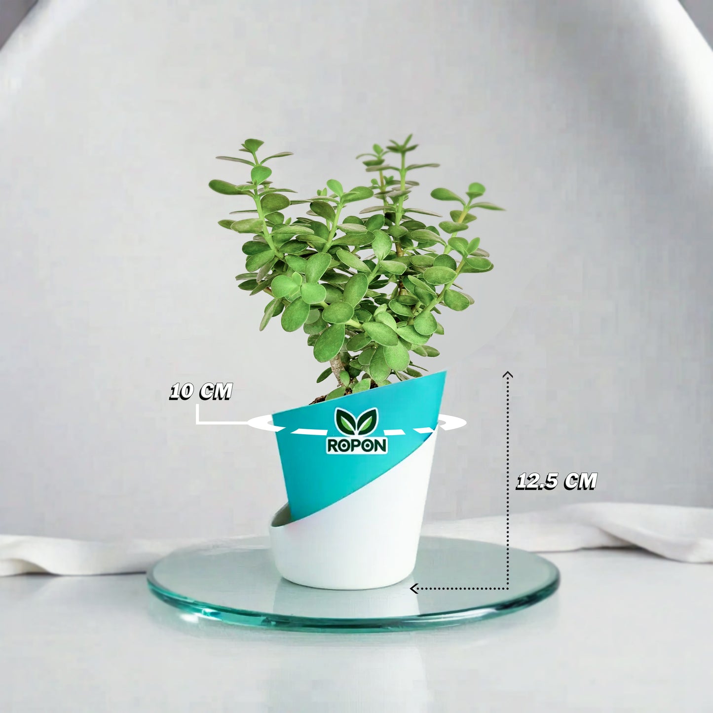 Combo of Cyan Atlantis Self Watering Pots for Indoor Plants - 4 Inch