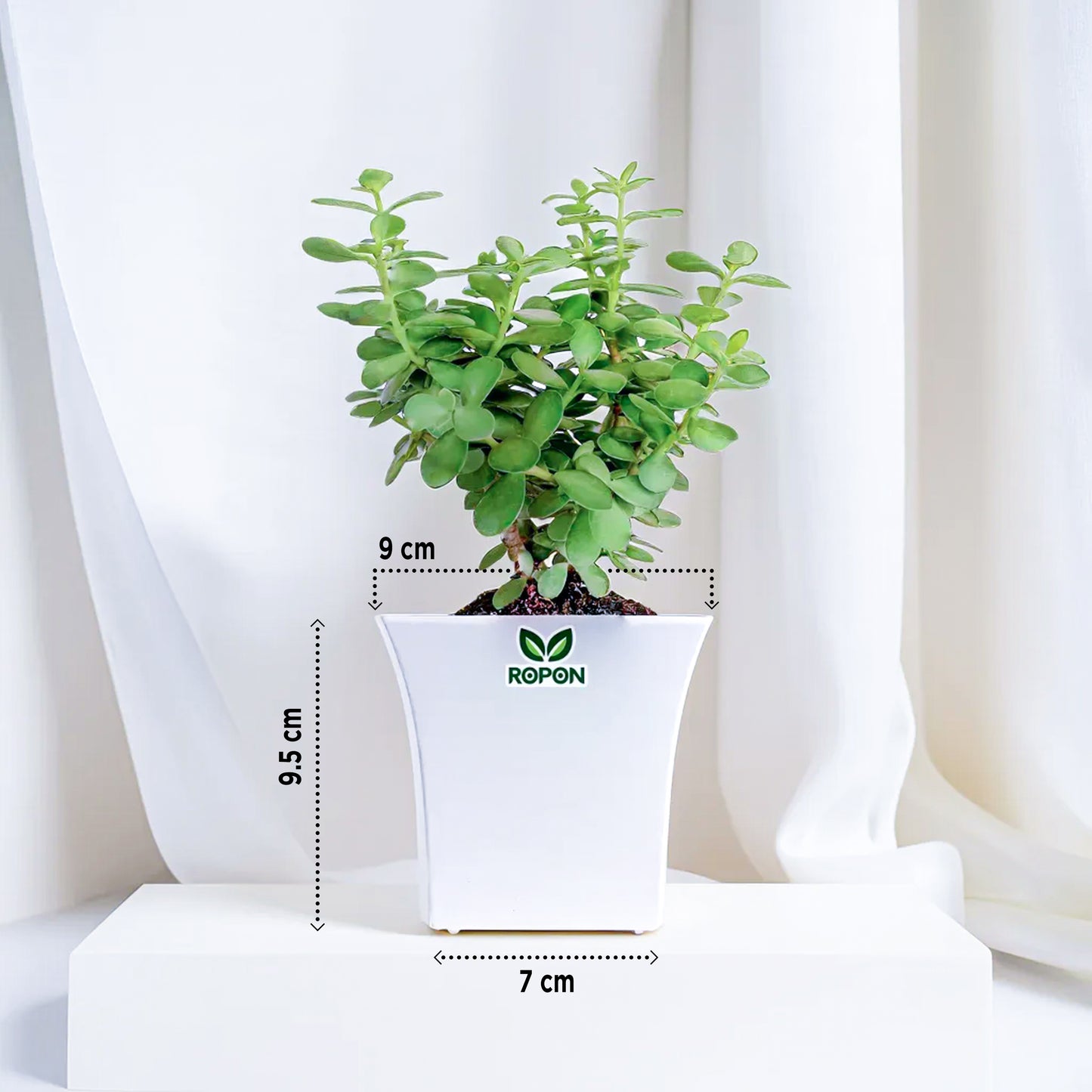 Combo of White Square Pots for Indoor Plants - 4 Inch