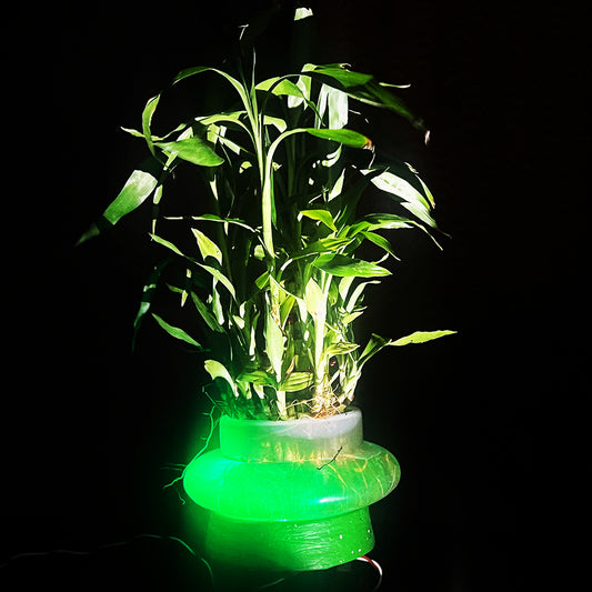 Green Bamboo Plant Light Stand – Minimalist LED Display Base for Indoor Plants