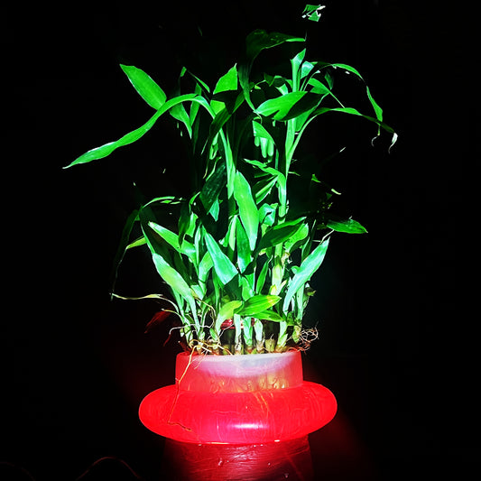 Red Bamboo Plant Light Stand – LED Display Base for Indoor Decor